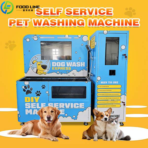 coin dog washing