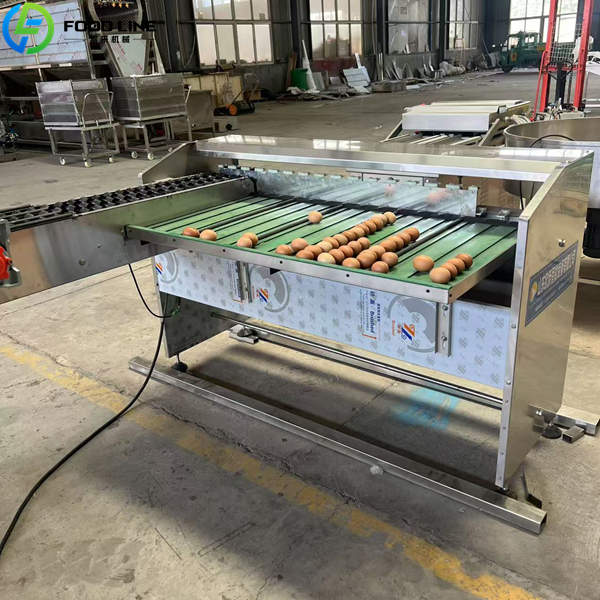automatic egg grader for sale