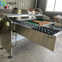 automatic egg grading machine