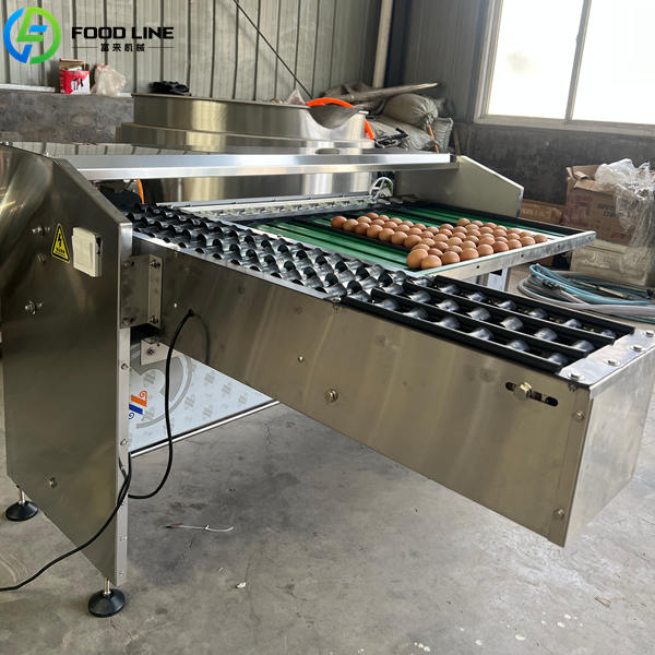 automatic egg grading machine