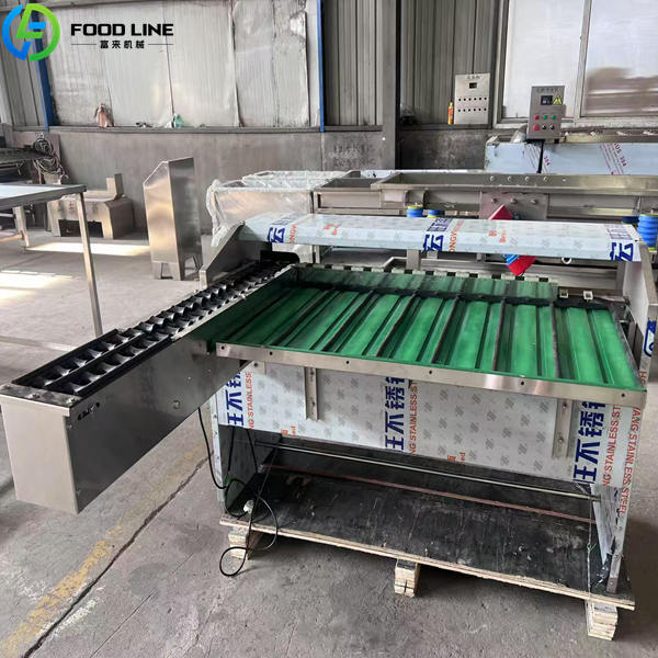 egg size sorting machine