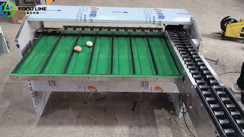 small poultry farm egg grading machine