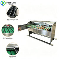 small scale automatic egg grader