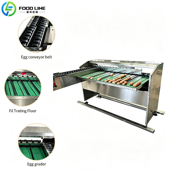 small scale automatic egg grader