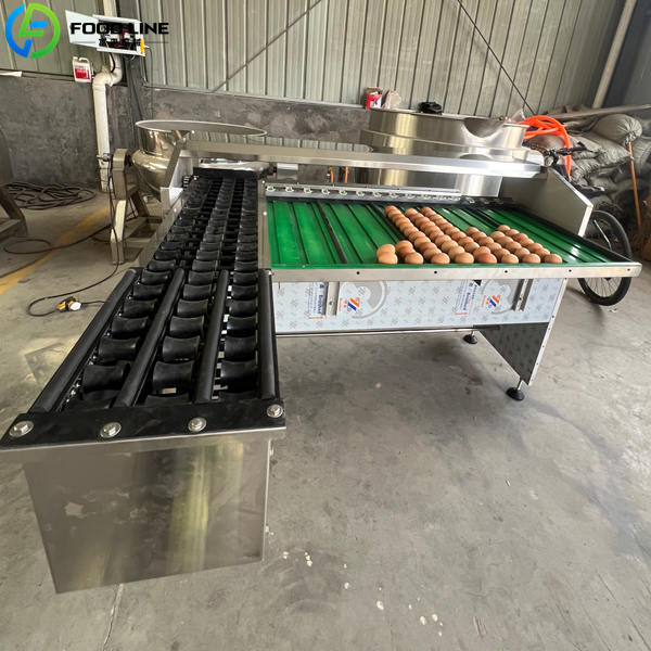 small scale egg classification machine automatic
