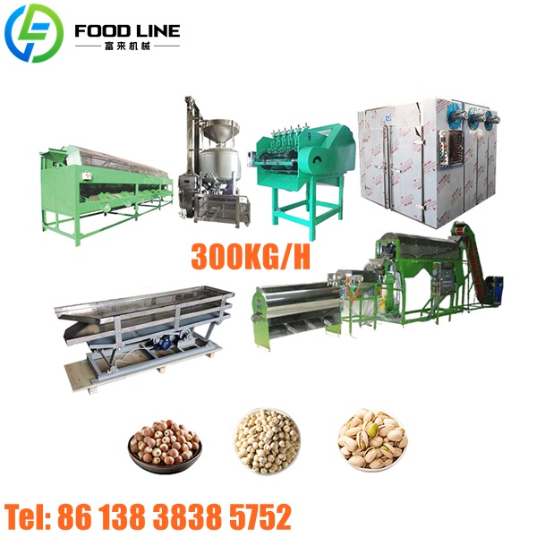 300kg cashew production device