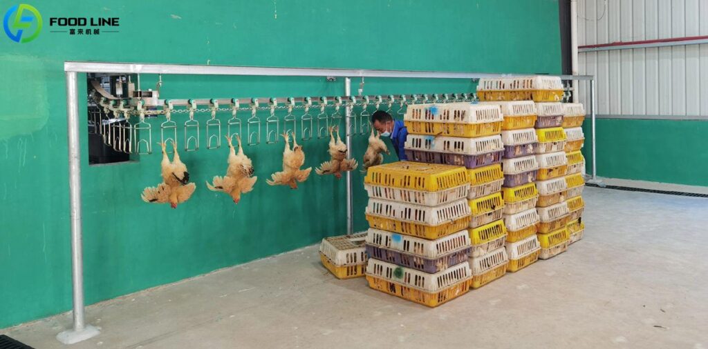 chicken slaughtering device