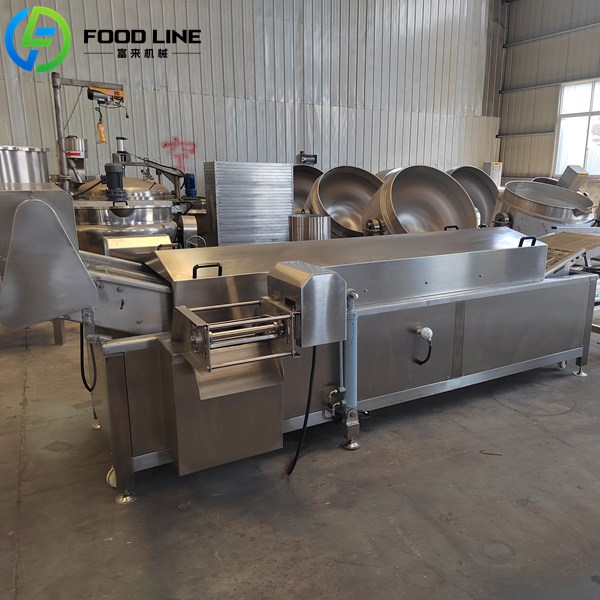 continuous frying device